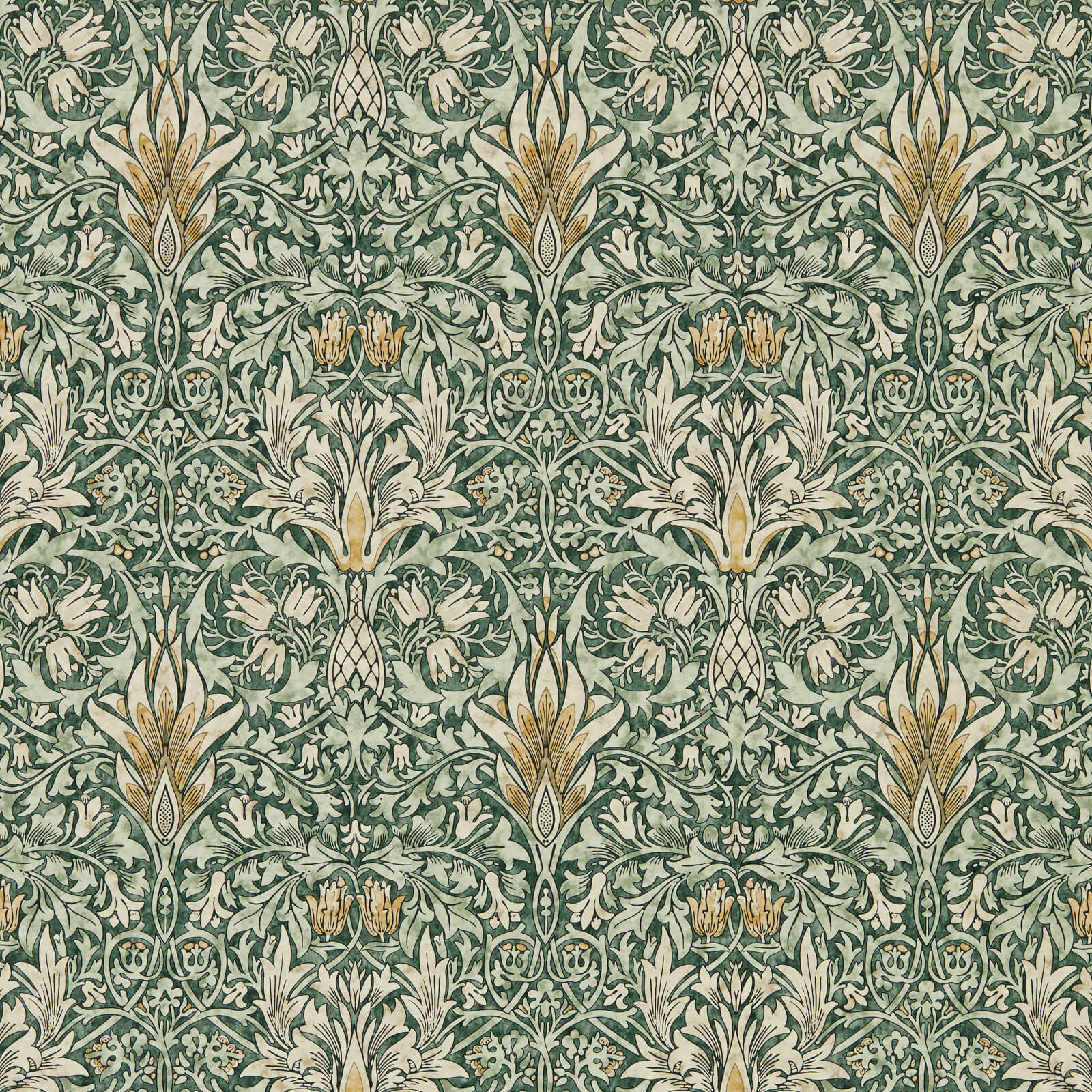 Snakeshead Forest/Thyme