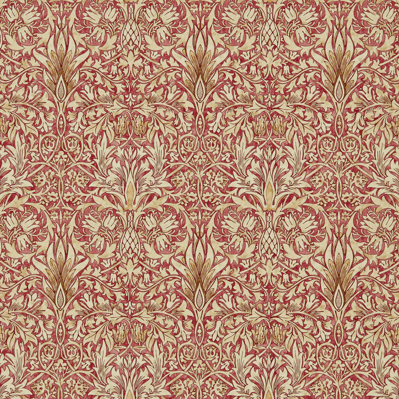 Snakeshead Madder/Gold