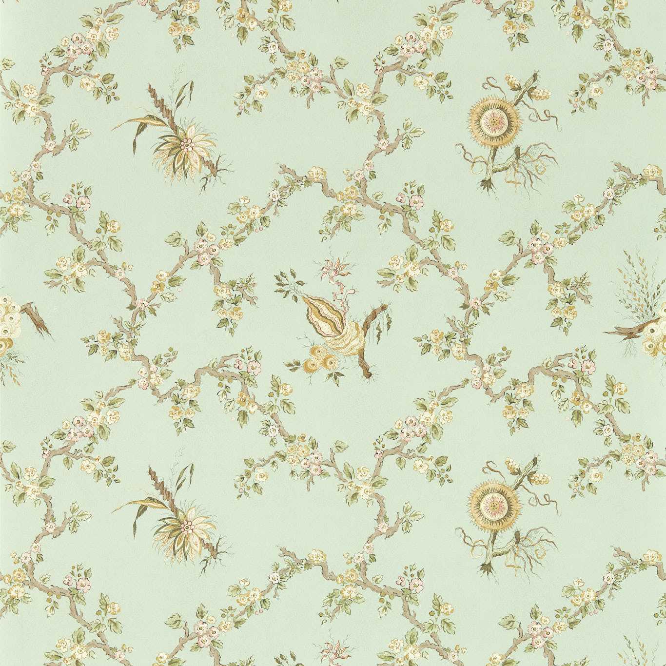 Trelliage Aphrodite/Blush