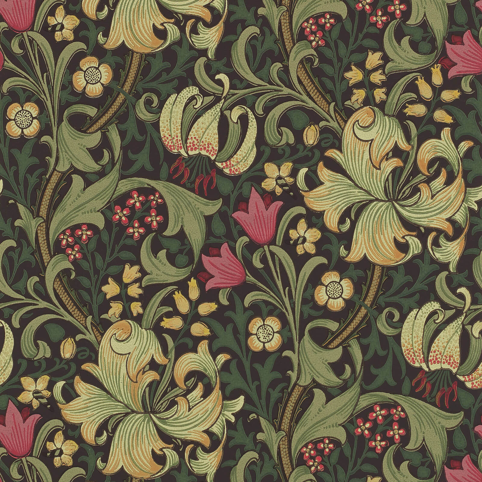 Golden Lily Charcoal/Olive