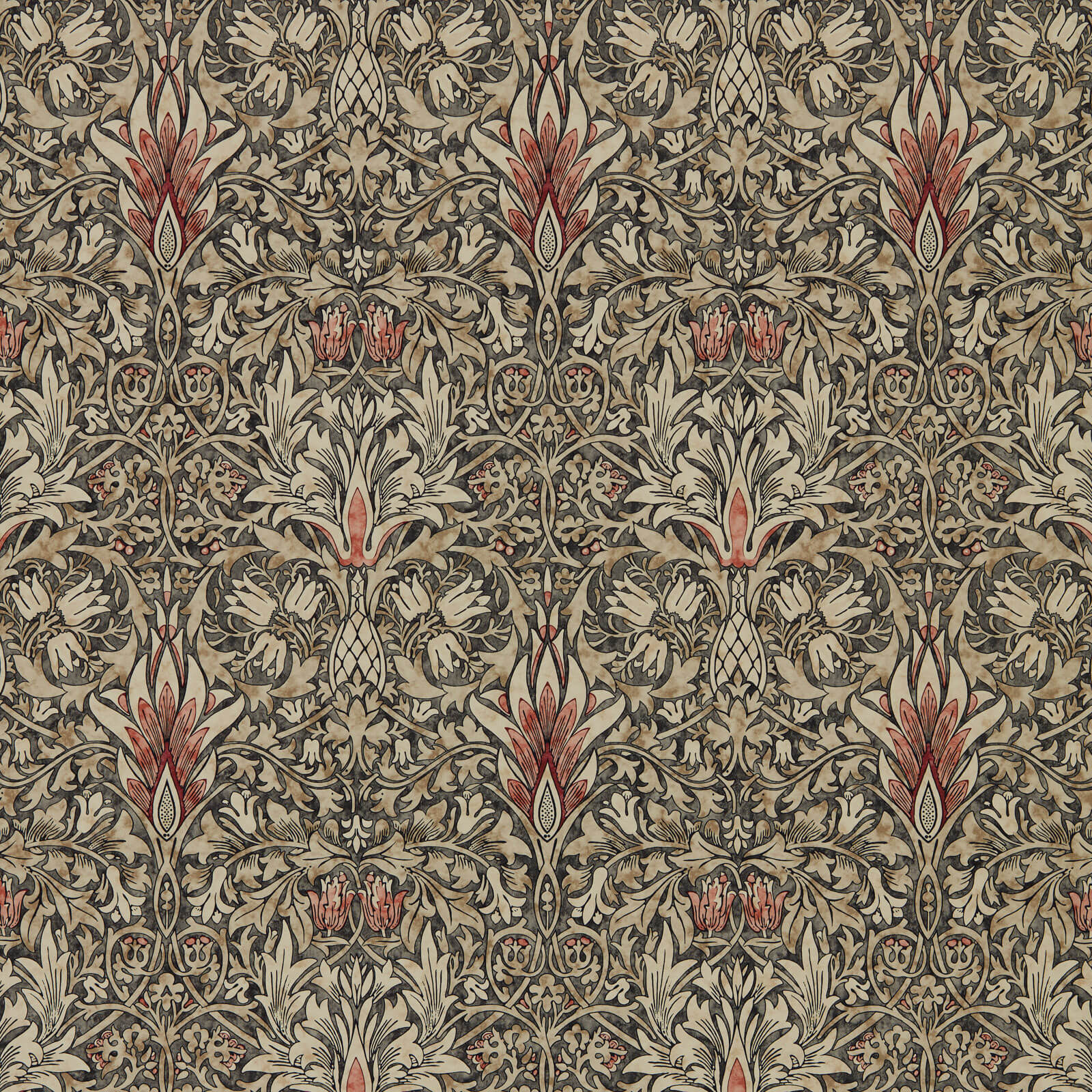 Snakeshead Charcoal/Spice